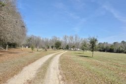 3135 Cox Road photo 4