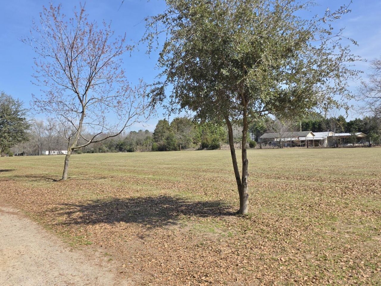 3135 Cox Road Photo 6