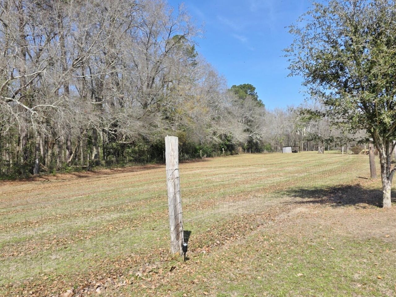 3135 Cox Road Photo 7