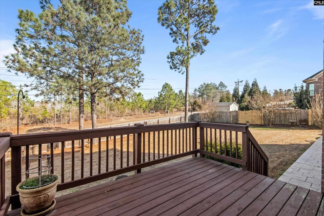 420 Congaree Ridge Court Photo 45