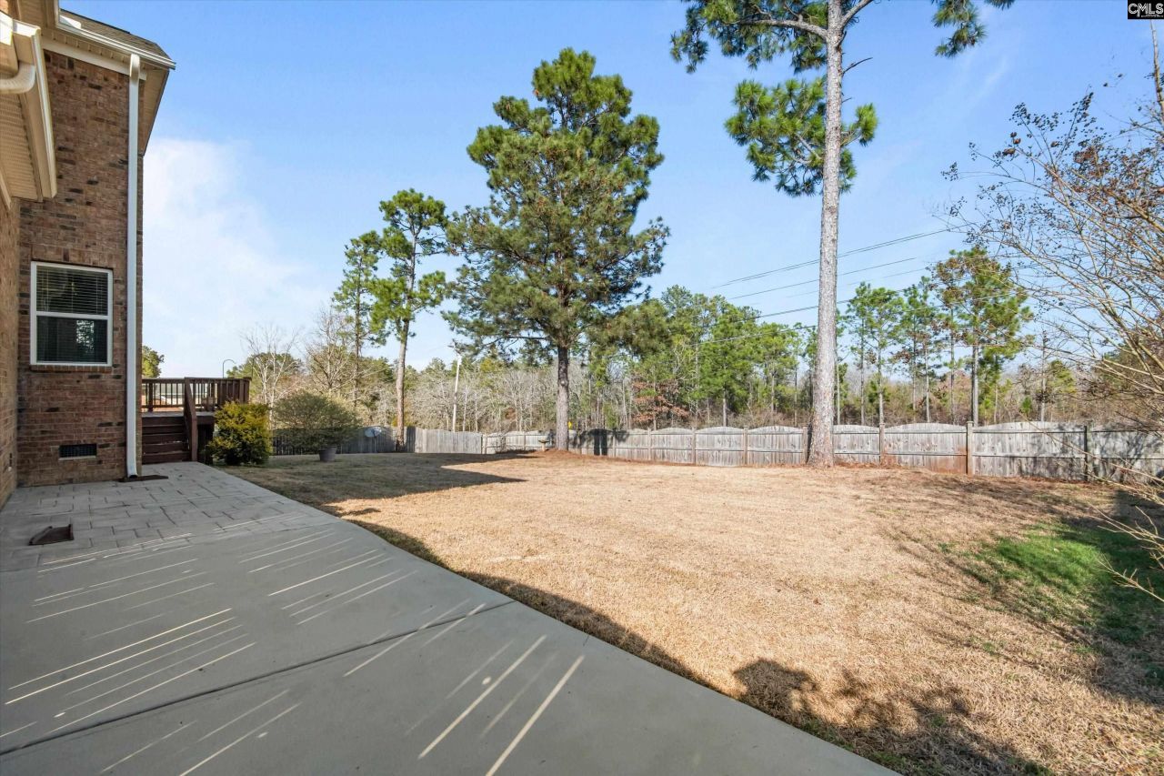 420 Congaree Ridge Court Photo 46