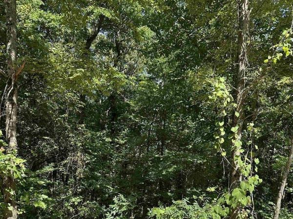 3.5 Acres Heber Springs Road, Locust Grove, AR 72550