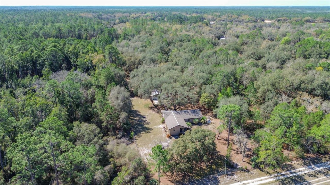 13455 NE 228th Lane Road , Fort Mc Coy, FL 32134 Photo