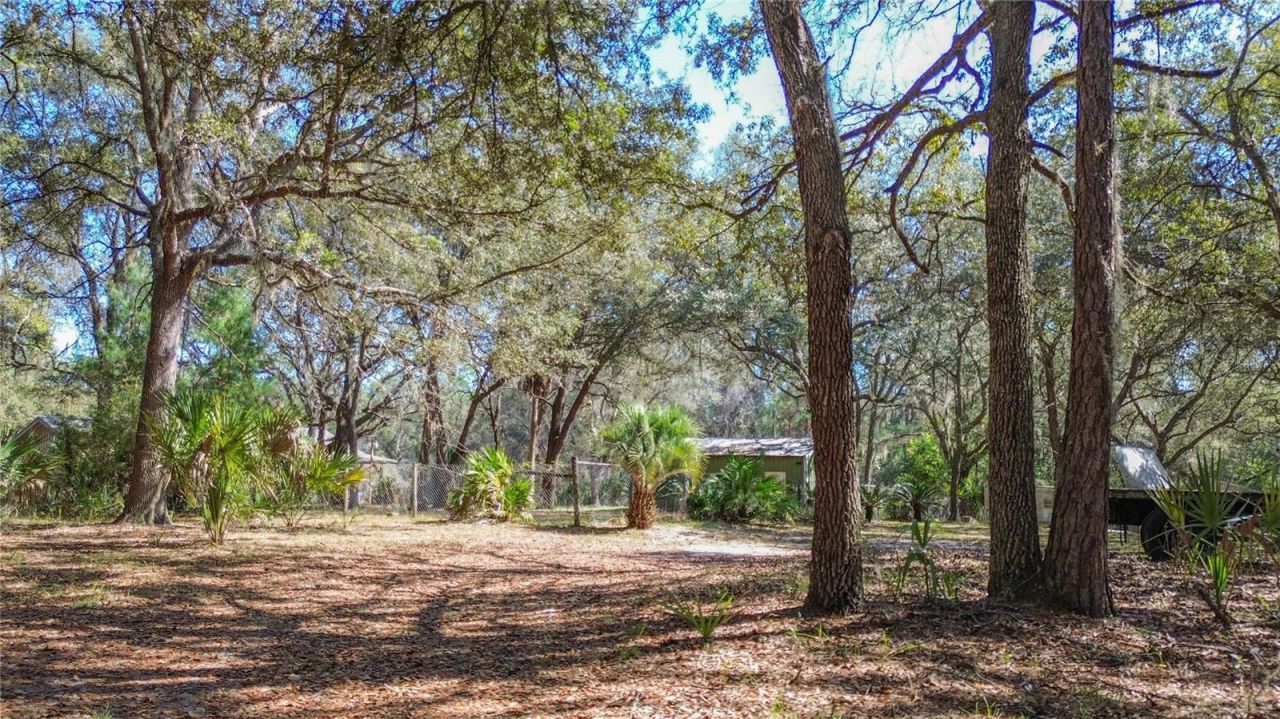 13455 NE 228th Lane Road , Fort Mc Coy, FL 32134 Photo