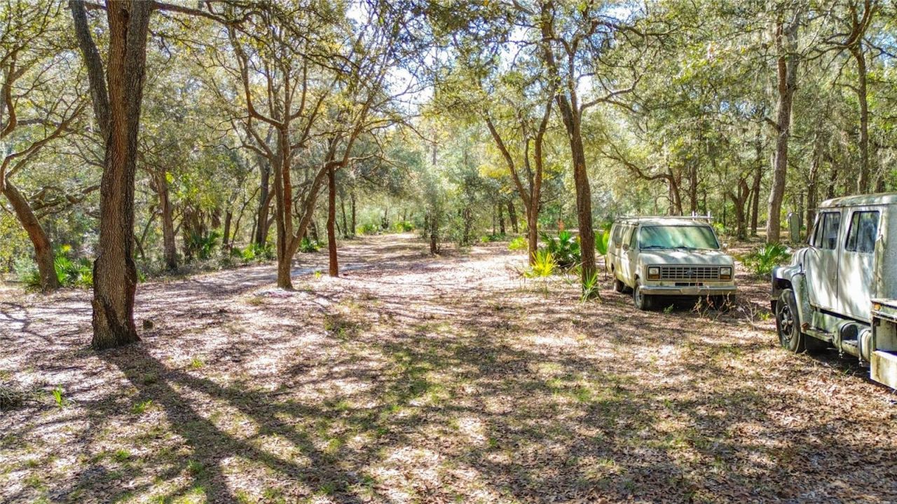 13455 NE 228th Lane Road , Fort Mc Coy, FL 32134 Photo