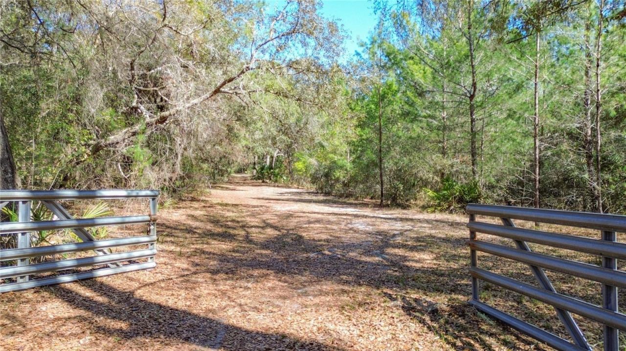 13455 NE 228th Lane Road , Fort Mc Coy, FL 32134 Photo