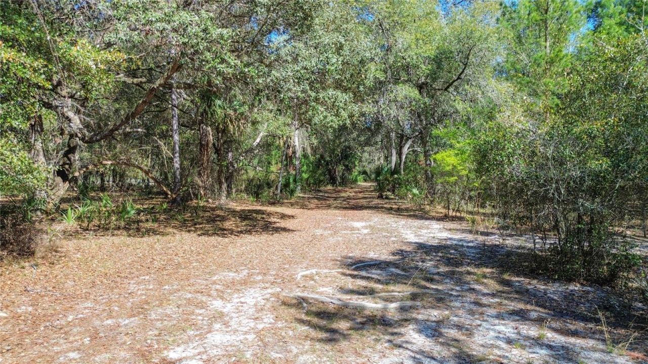 13455 NE 228th Lane Road , Fort Mc Coy, FL 32134 Photo