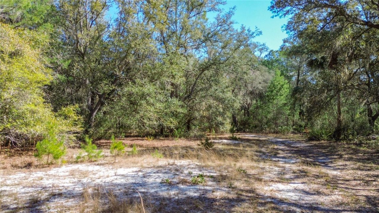 13455 NE 228th Lane Road , Fort Mc Coy, FL 32134 Photo