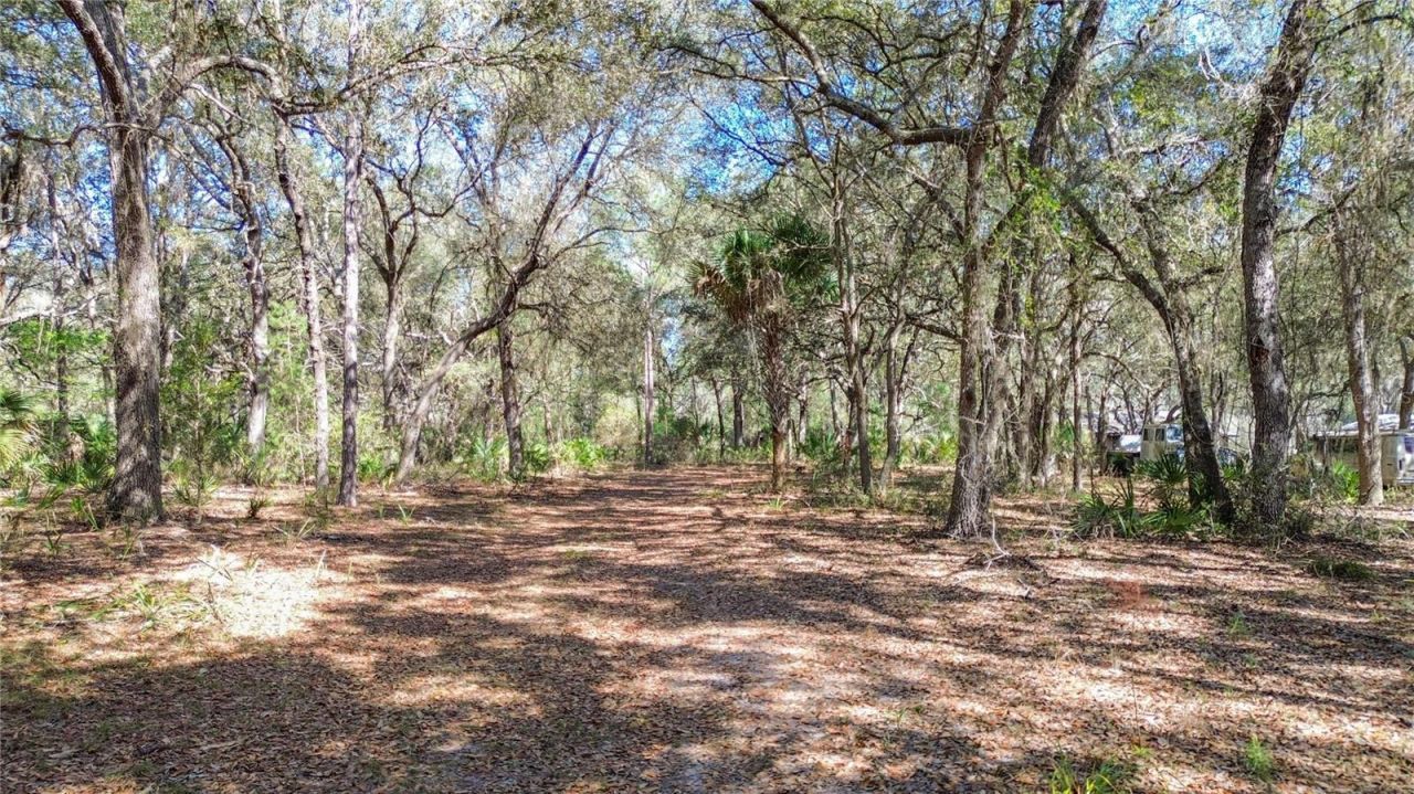 13455 NE 228th Lane Road , Fort Mc Coy, FL 32134 Photo