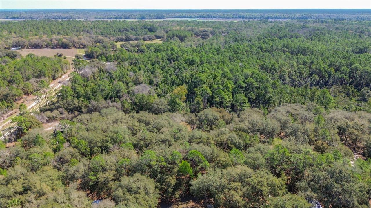 13455 NE 228th Lane Road , Fort Mc Coy, FL 32134 Photo