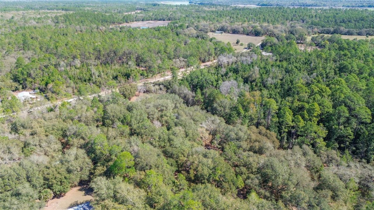 13455 NE 228th Lane Road , Fort Mc Coy, FL 32134 Photo