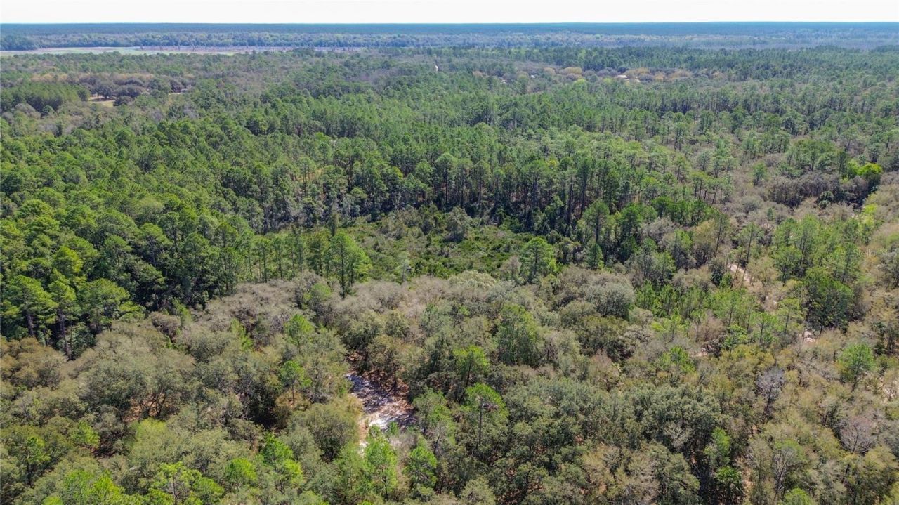 13455 NE 228th Lane Road , Fort Mc Coy, FL 32134 Photo