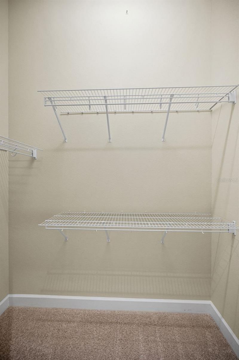 3305 Sheehan Drive , Land O Lakes, FL 34638 Photo