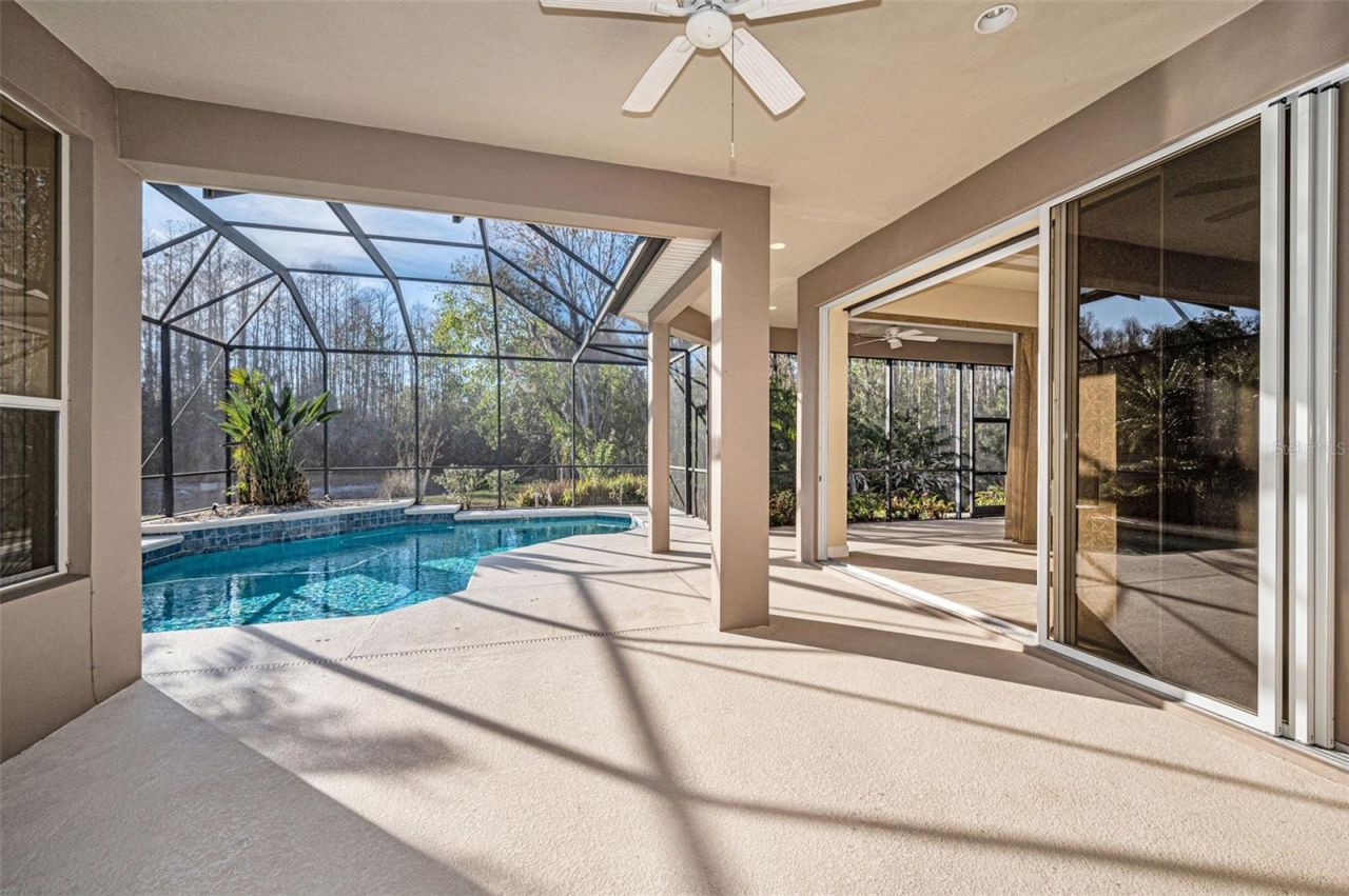 3305 Sheehan Drive , Land O Lakes, FL 34638 Photo