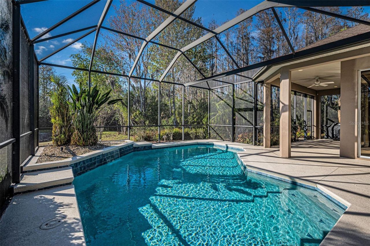 3305 Sheehan Drive , Land O Lakes, FL 34638 Photo