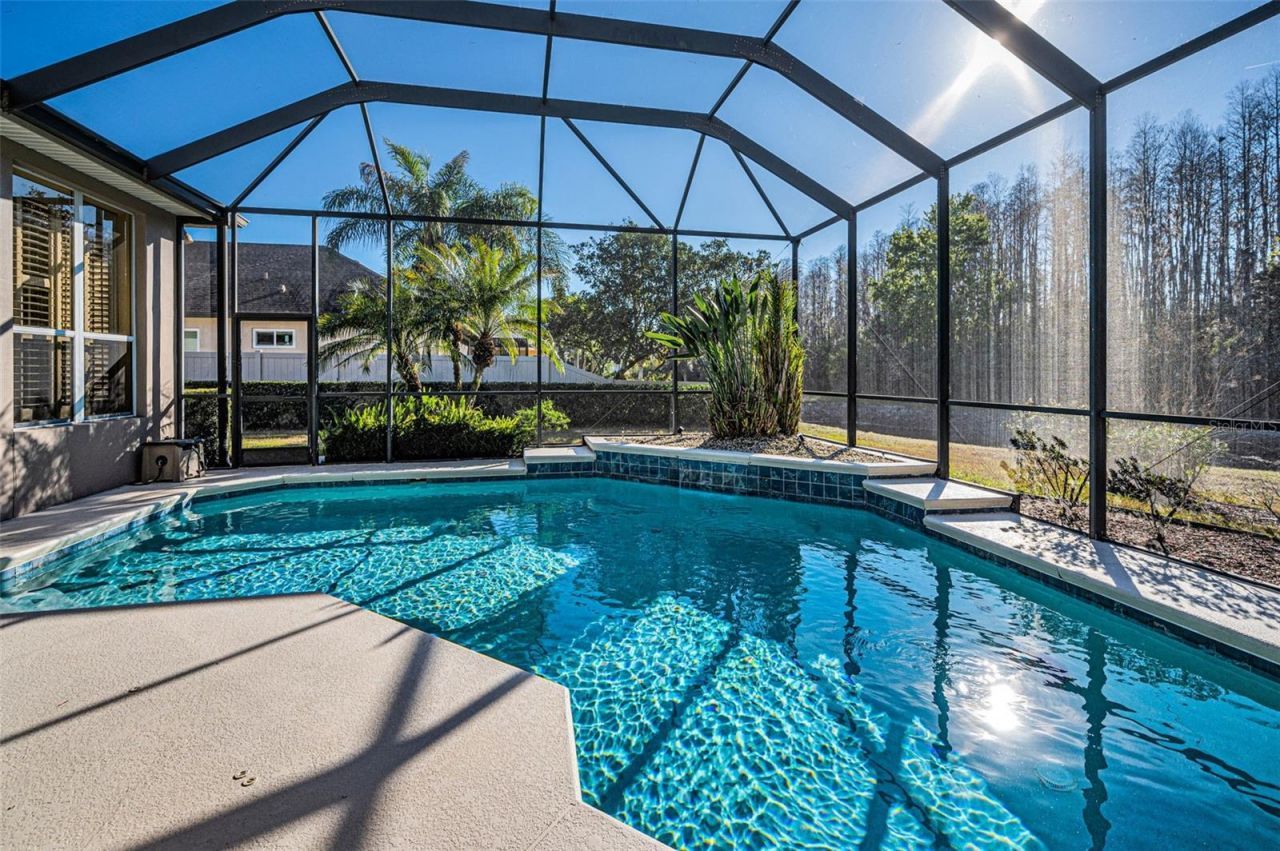 3305 Sheehan Drive , Land O Lakes, FL 34638 Photo