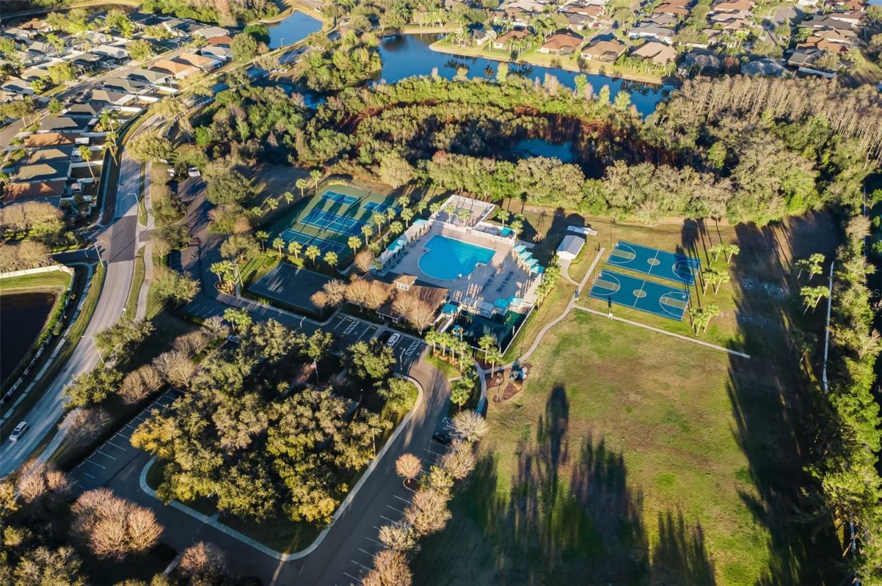 3305 Sheehan Drive , Land O Lakes, FL 34638 Photo