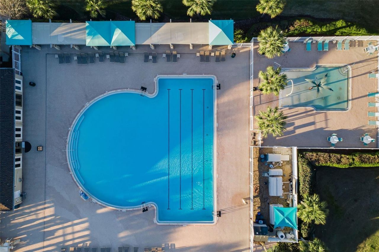 3305 Sheehan Drive , Land O Lakes, FL 34638 Photo