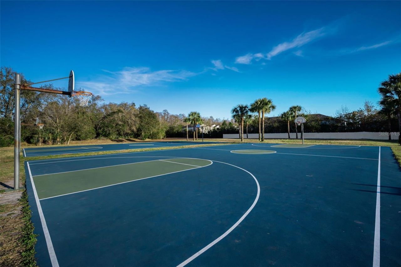 3305 Sheehan Drive , Land O Lakes, FL 34638 Photo