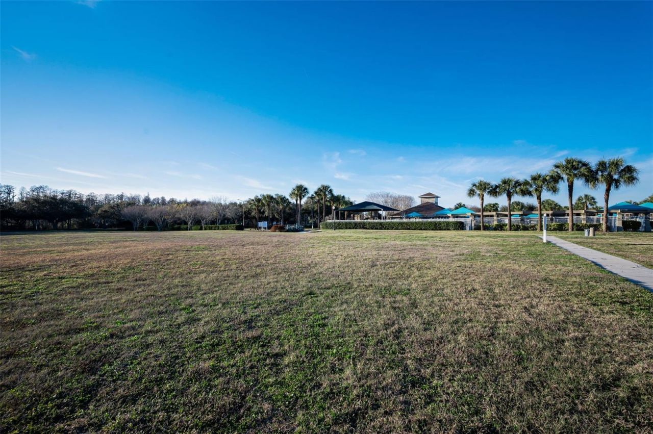 3305 Sheehan Drive , Land O Lakes, FL 34638 Photo