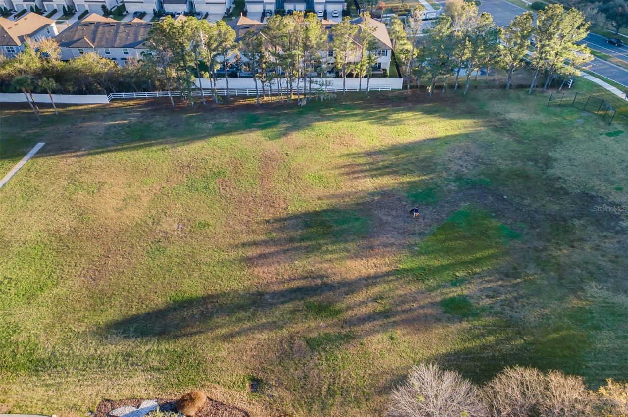 3305 Sheehan Drive , Land O Lakes, FL 34638 Photo