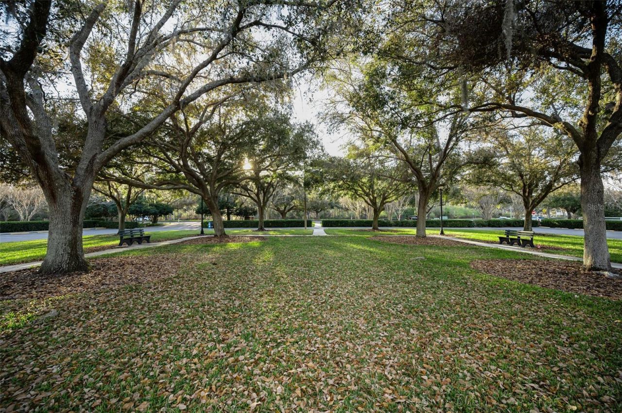 3305 Sheehan Drive , Land O Lakes, FL 34638 Photo