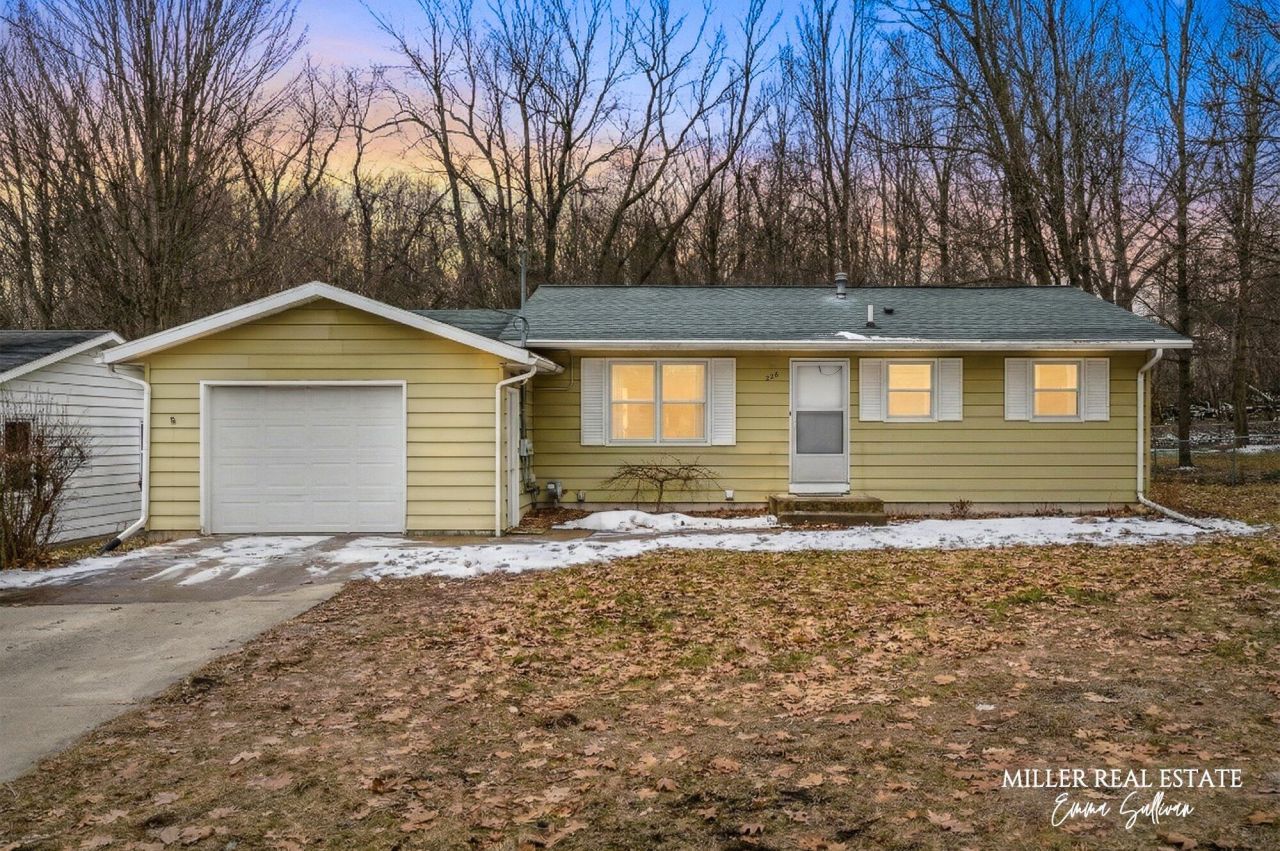 226 W Nelson Street, Hastings, MI 49058 Main Photo