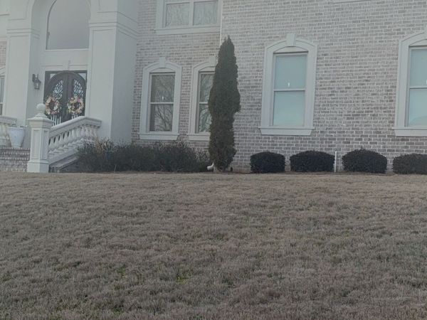 3310 Steeple Chase Way SW, Conyers, GA 30094