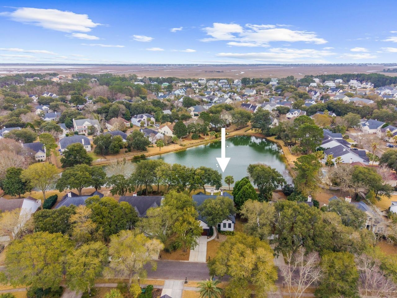 1244 Palmetto Peninsula Drive Photo 48