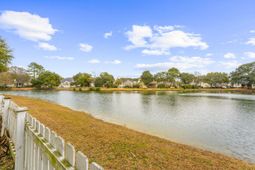 1244 Palmetto Peninsula Drive photo 4