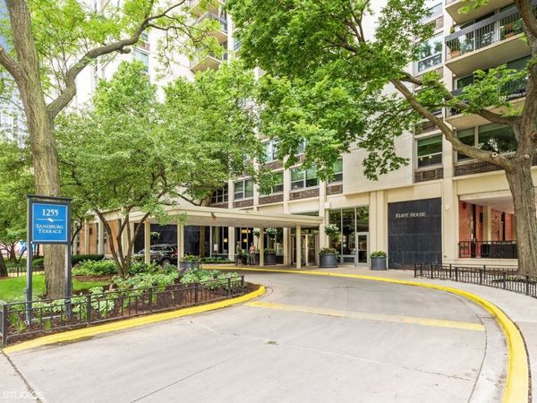 1255 N Sandburg Terrace, Unit 207, Chicago, IL 60610