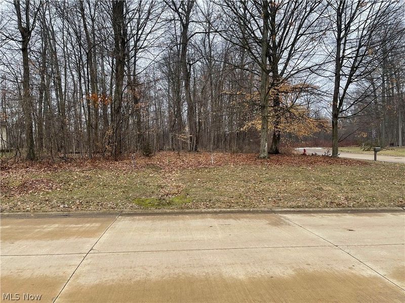 V/L 260 Stony Brook Lane, Wakeman, OH 44889 Photo 2