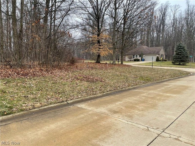 Stony Brook Lane , Wakeman, OH 44889 Photo 3
