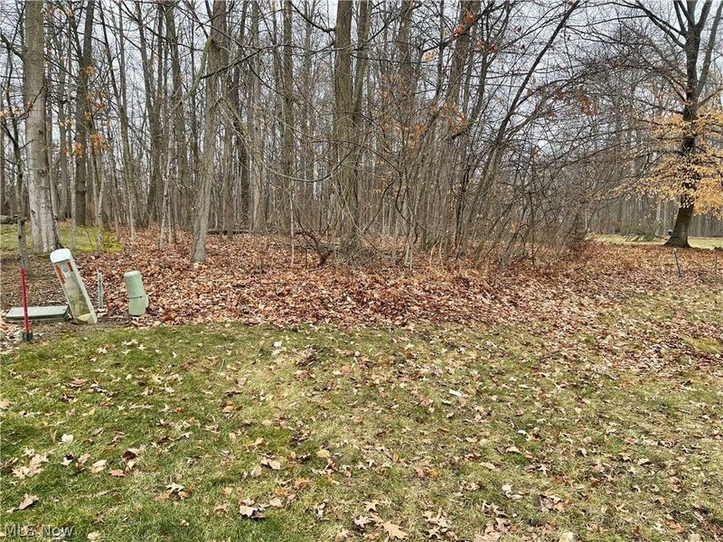 V/L 260 Stony Brook Lane, Wakeman, OH 44889 Photo 5