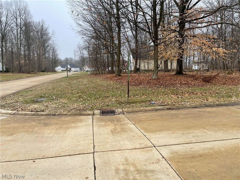 V/L 260 Stony Brook Lane, Wakeman, OH 44889 Photo 6