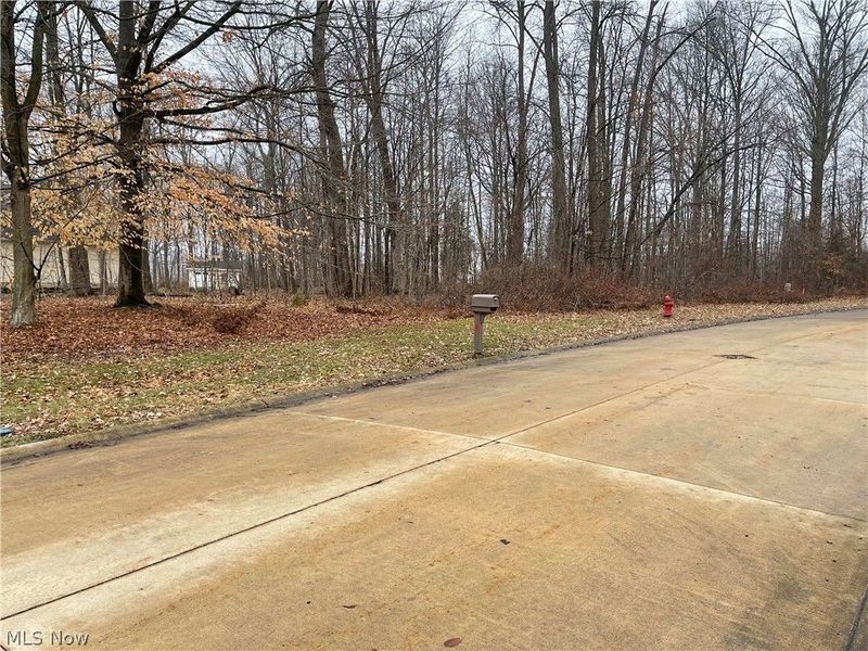 V/L 260 Stony Brook Lane, Wakeman, OH 44889 Photo 7