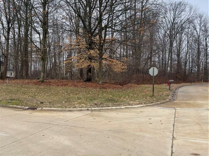 V/L 260 Stony Brook Lane, Wakeman, OH 44889 Photo 8