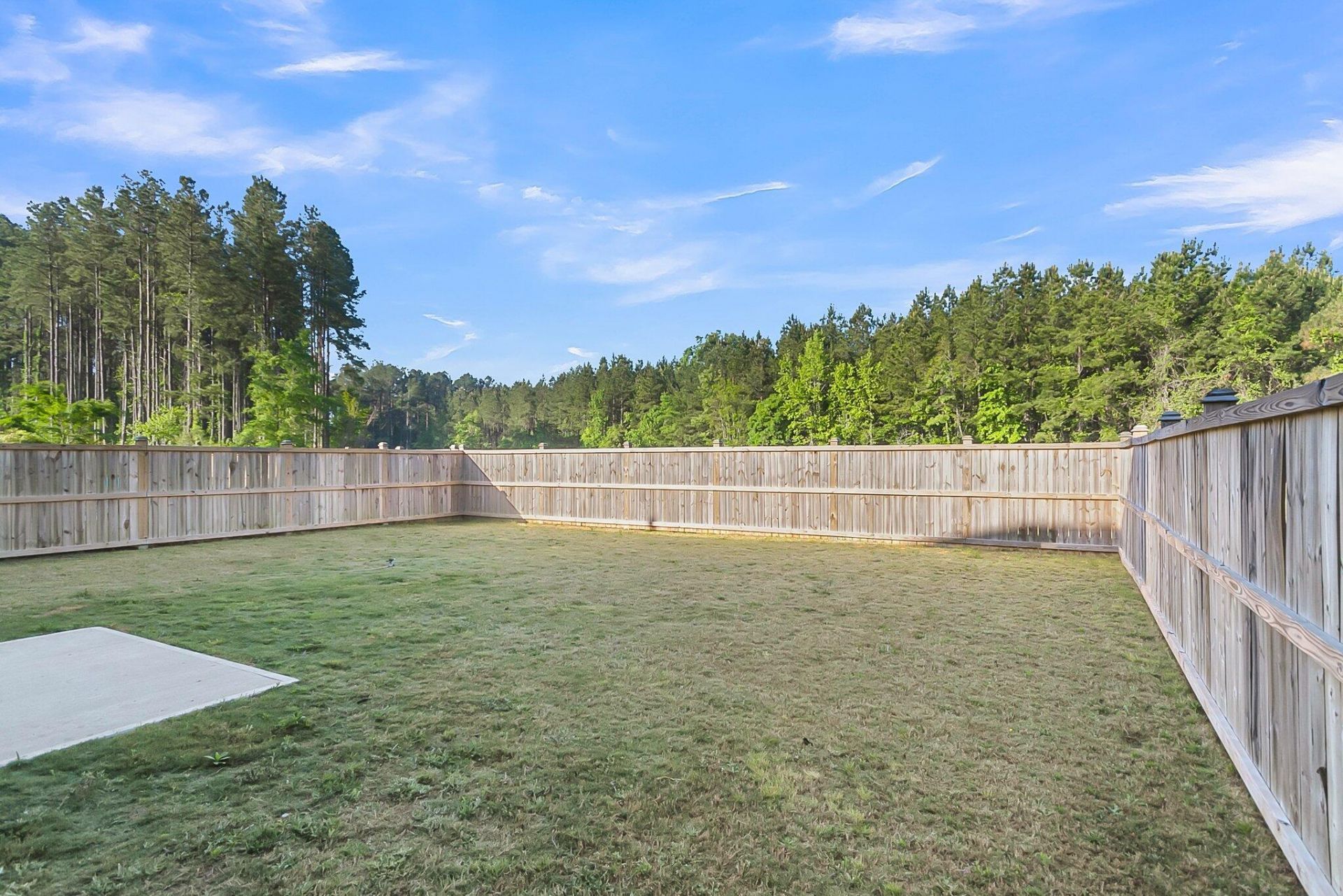 1541 Homecoming Boulevard Photo 37