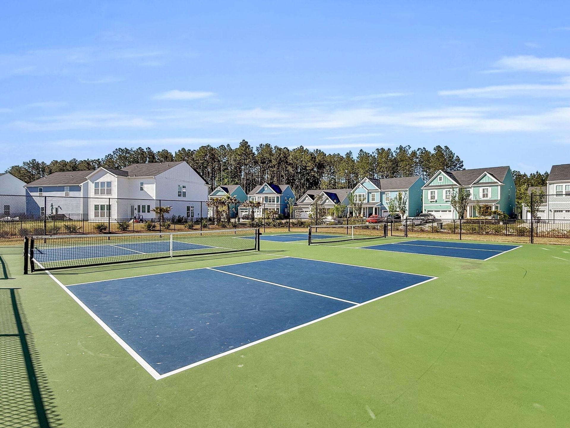 1541 Homecoming Boulevard Photo 46