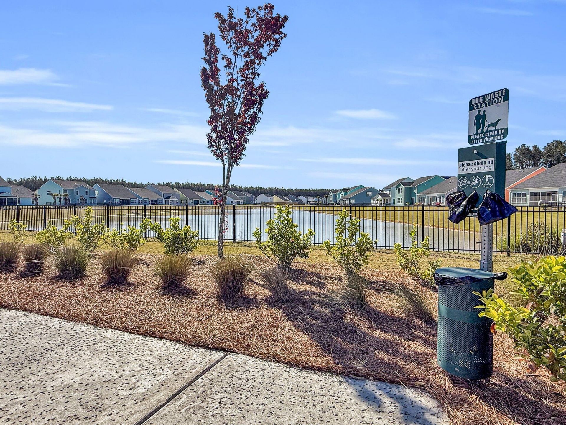 1541 Homecoming Boulevard Photo 54