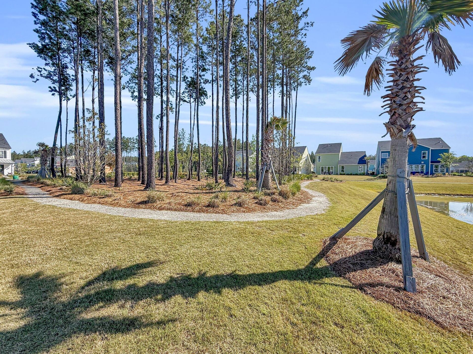 1541 Homecoming Boulevard Photo 62