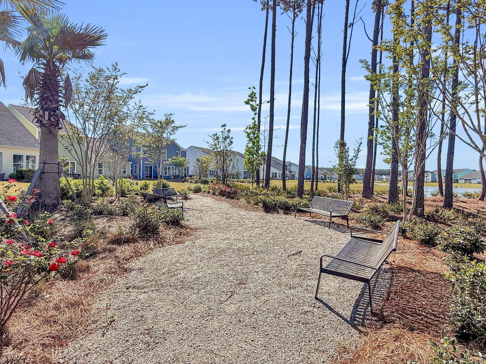 1541 Homecoming Boulevard Photo 63