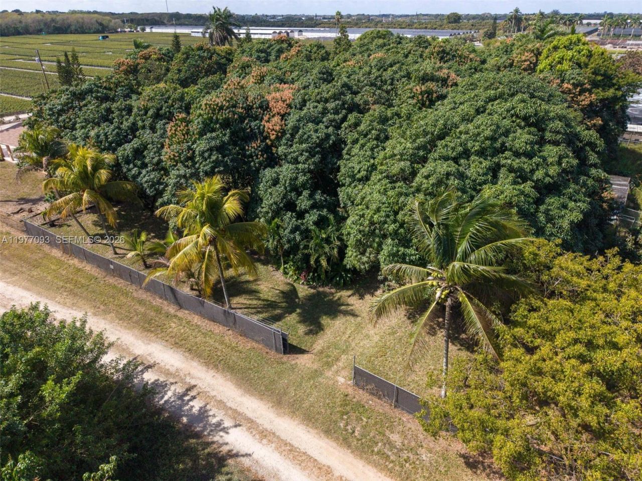 15401 SW 212th St, Miami, FL 33187 Photo