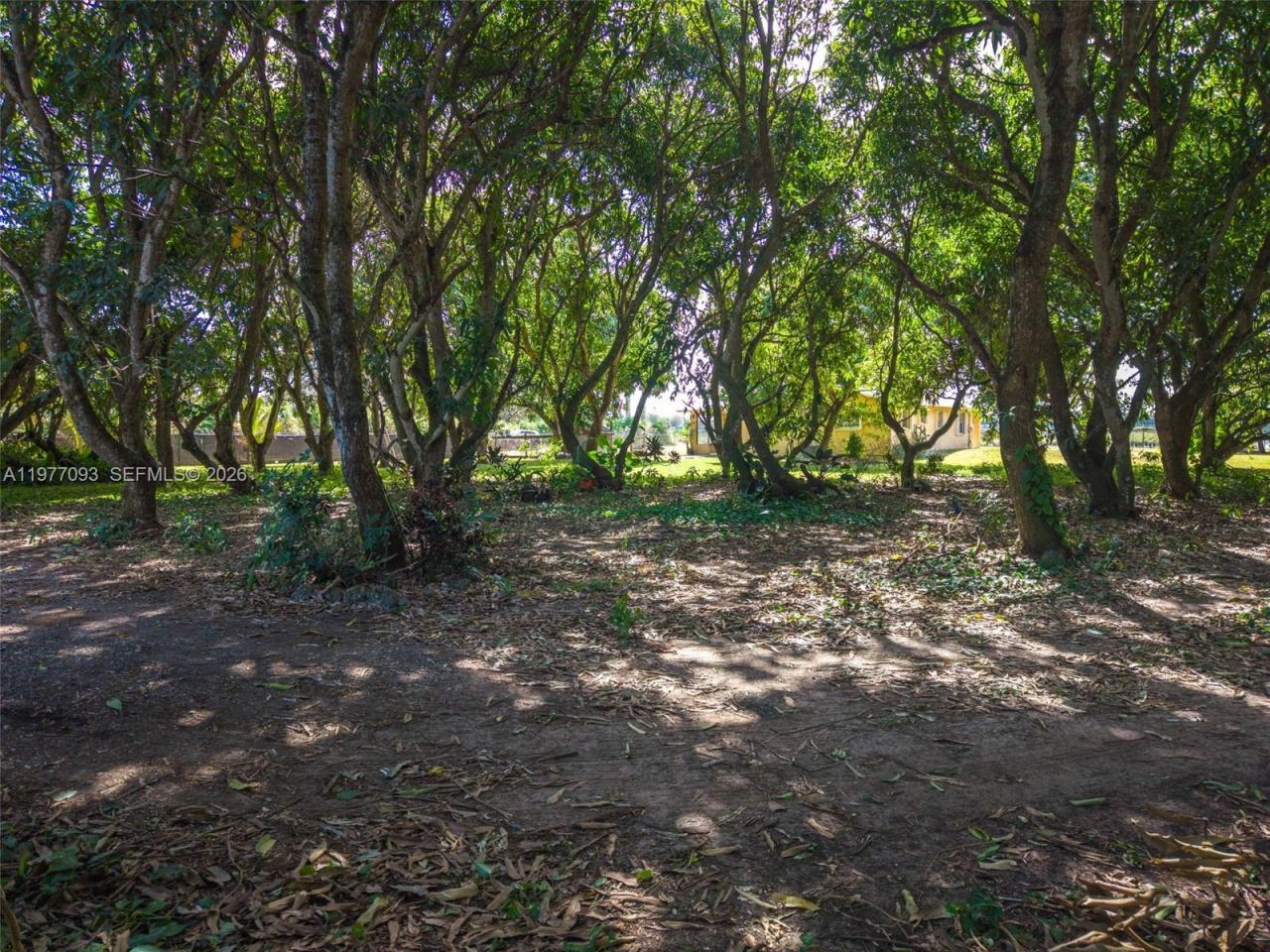 15401 SW 212th St, Miami, FL 33187 Photo