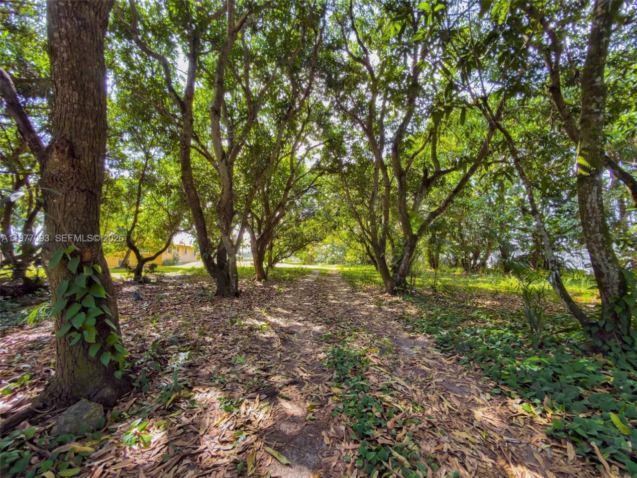 15401 SW 212th St, Miami, FL 33187 Photo