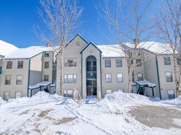 28 Fowler Road, Unit N103, Ludlow, VT 05149