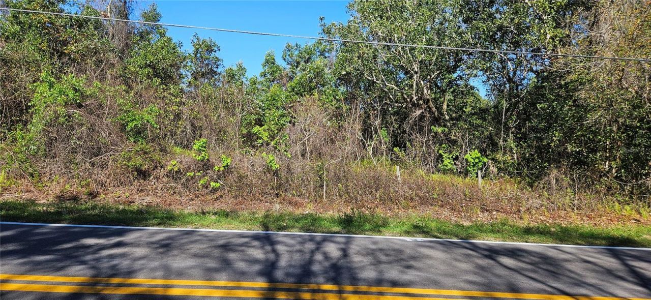 6336 Timberlane Road, Lake Wales, FL 33898 Photo