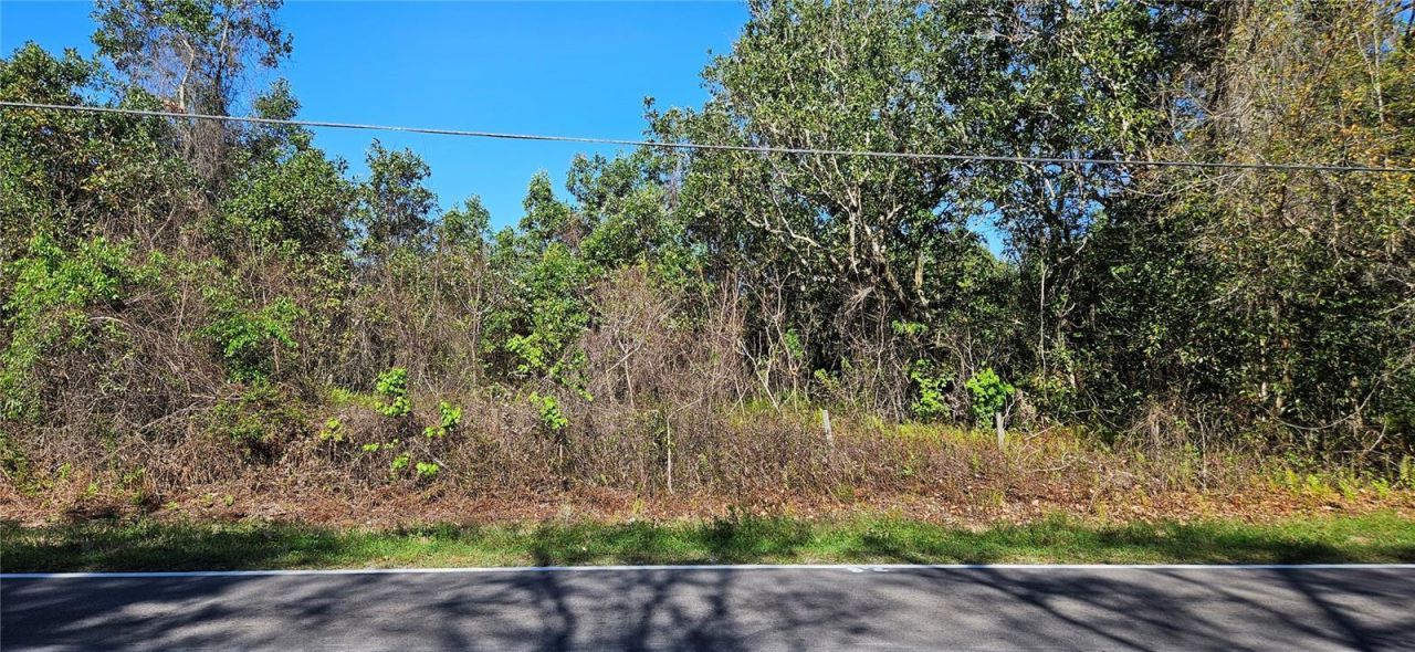 6336 Timberlane Road, Lake Wales, FL 33898 Photo