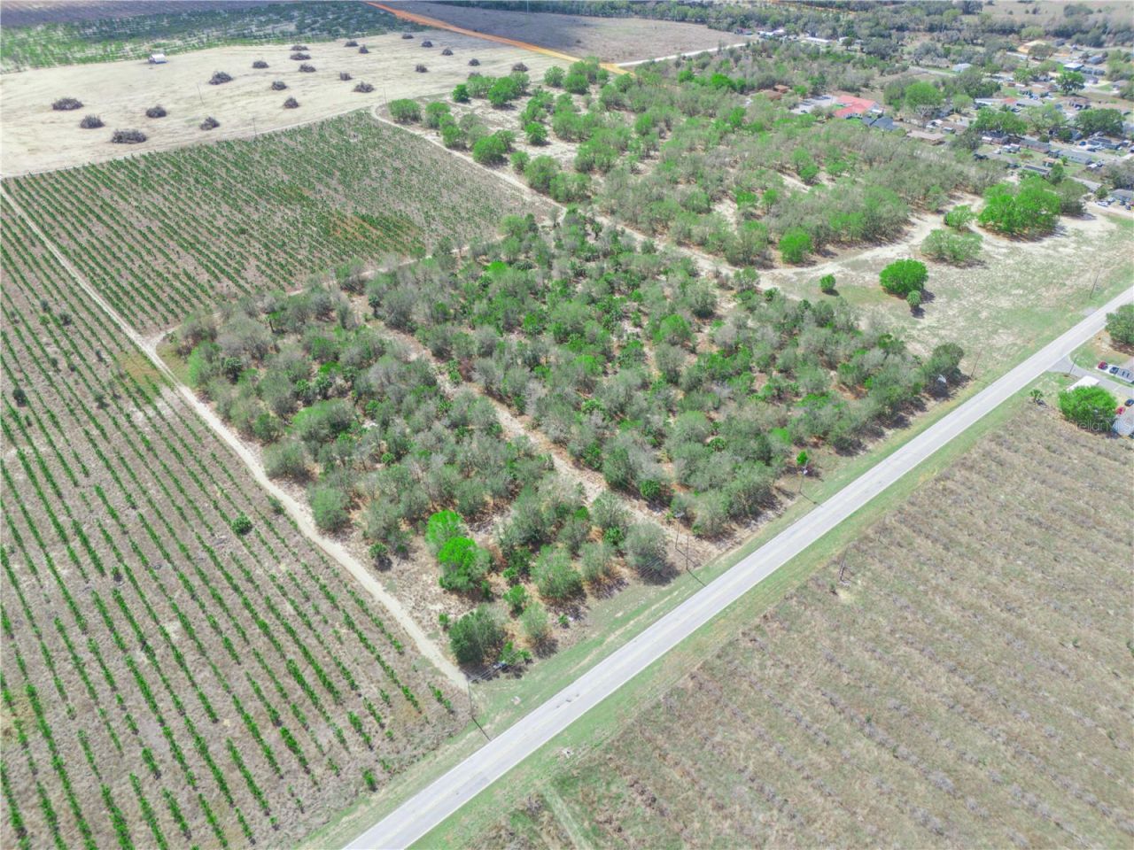 Friedlander Road , Babson Park, FL 33827 Photo