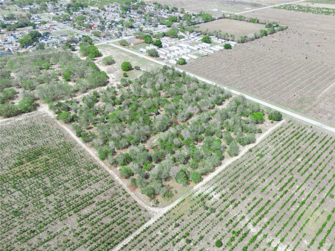 Friedlander Road , Babson Park, FL 33827 Photo